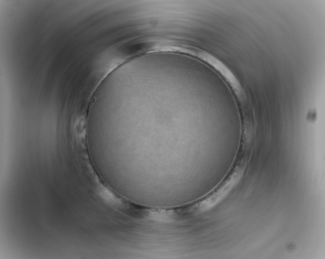 X0000103960809200809191510