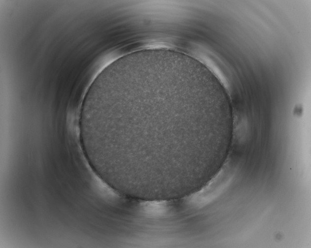 X0000103960810200809191510
