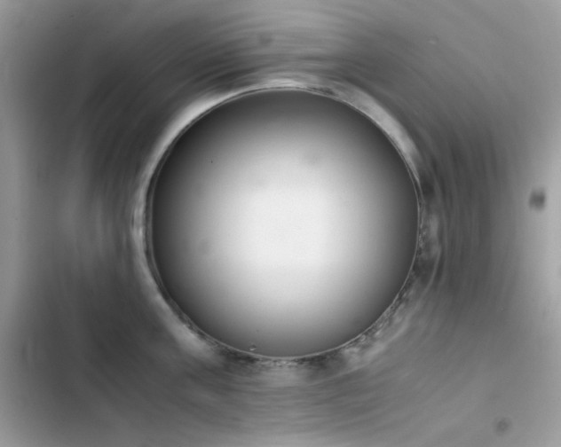 X0000103960811200809191510