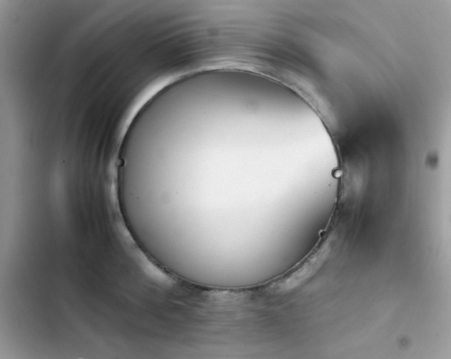 X0000103960812200809191510