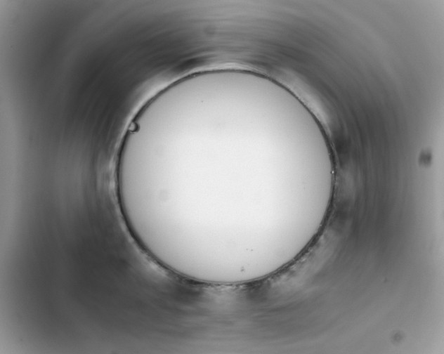 X0000103960813200809191510