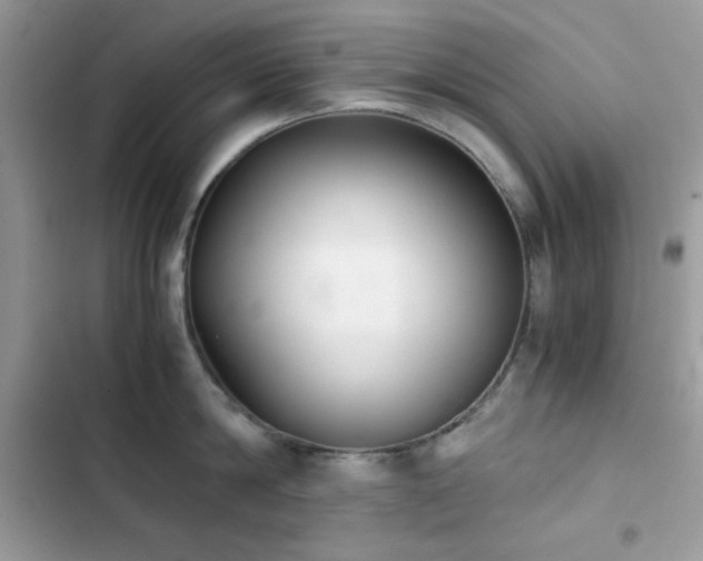 X0000103960814200809191510