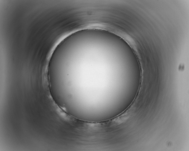X0000103960816200809191510