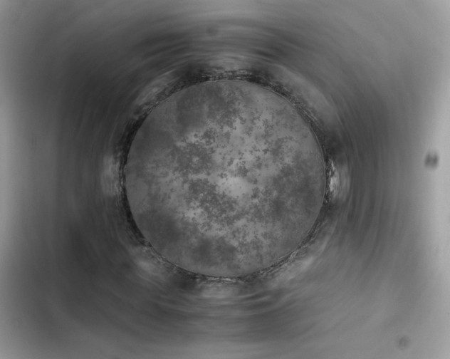 X0000103960819200809191509