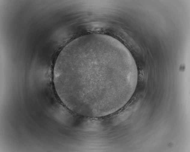 X0000103960820200809191509