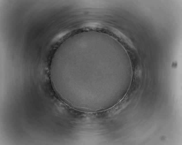 X0000103960822200809191509