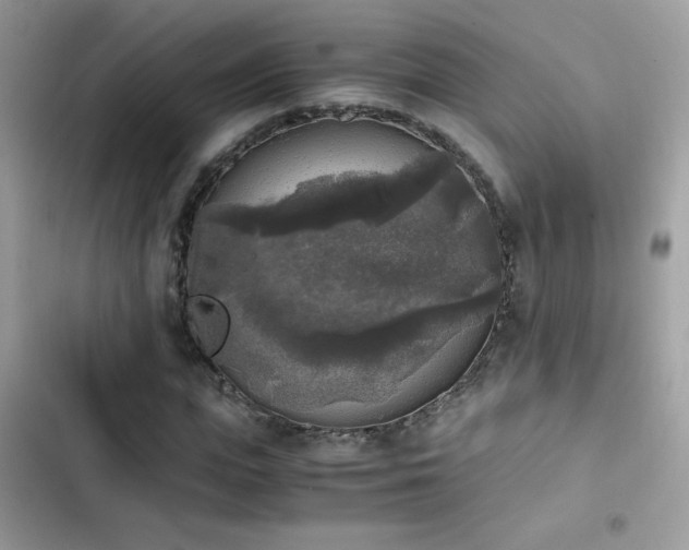 X0000103960823200809191509