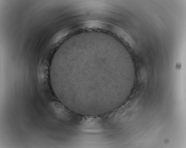 X0000103960824200809191509