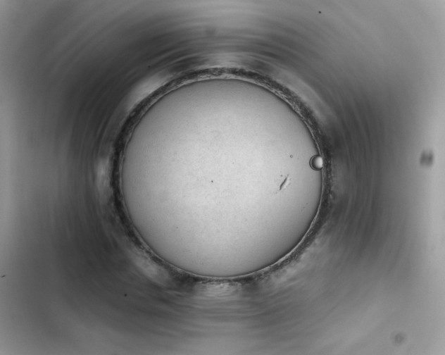 X0000103960826200809191509