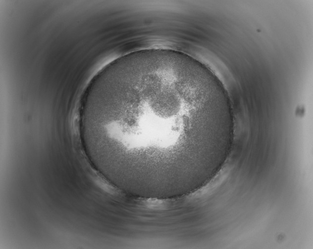X0000103960827200809191509