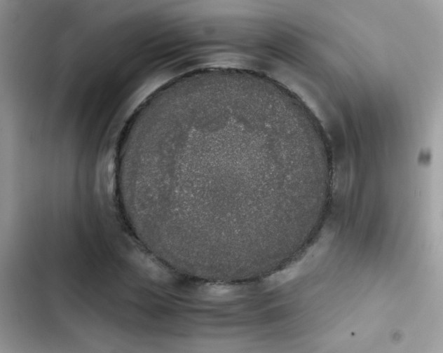 X0000103960829200809191509