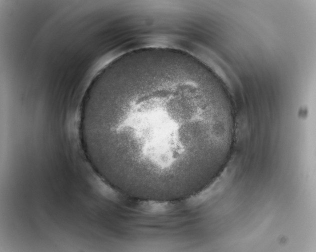 X0000103960831200809191509