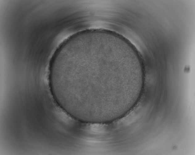 X0000103960832200809191509