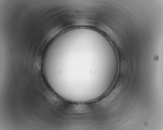 X0000103960833200809191509