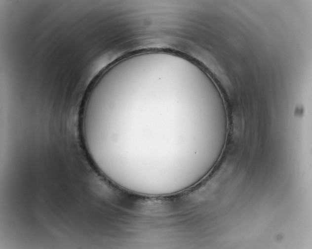 X0000103960834200809191509