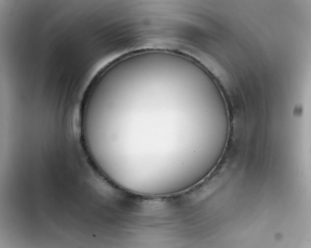 X0000103960838200809191510