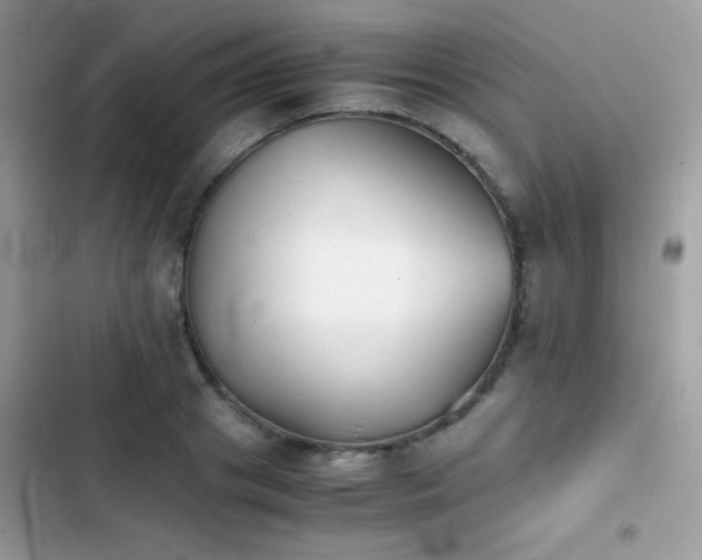 X0000103960841200809191510