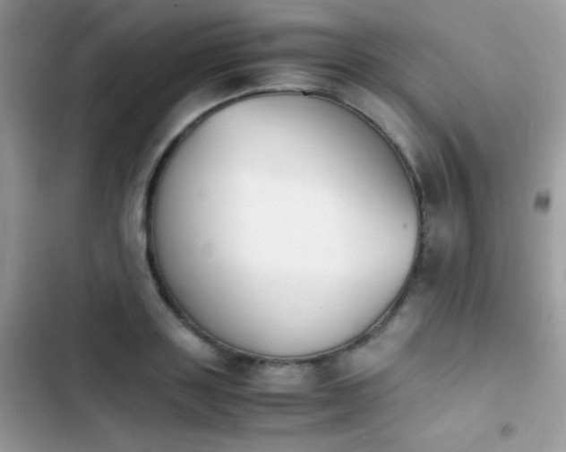 X0000103960843200809191510