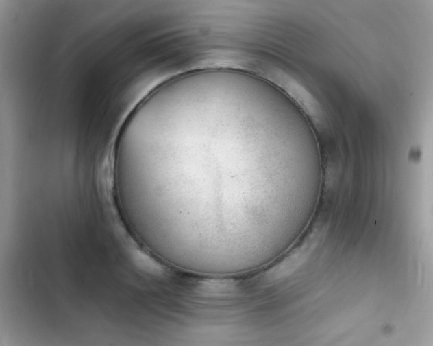 X0000103960844200809191510
