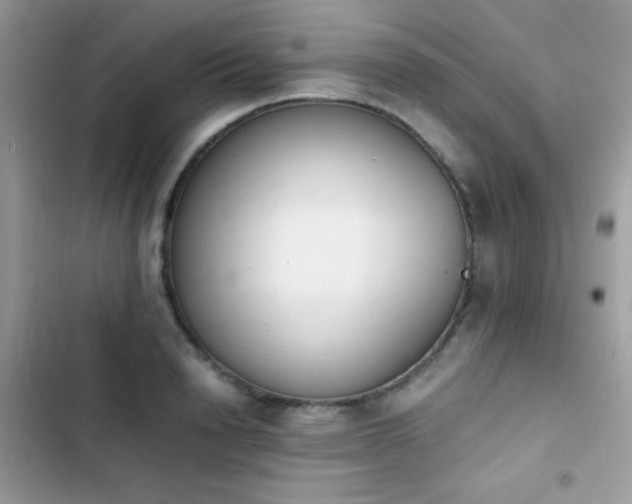 X0000103960846200809191510