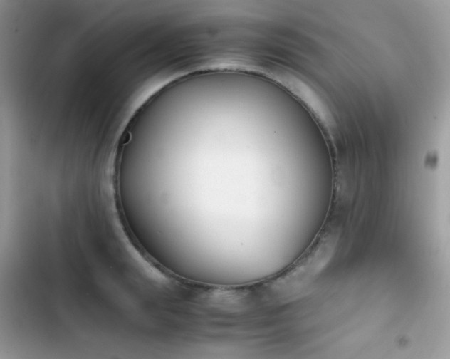X0000103960847200809191510