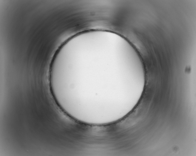 X0000103960848200809191510
