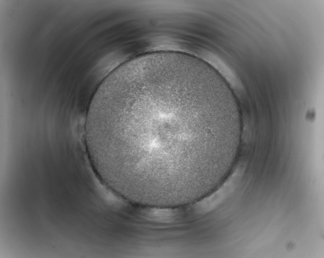X0000103960849200809191510