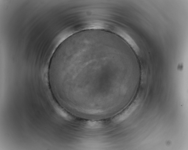 X0000103960850200809191510