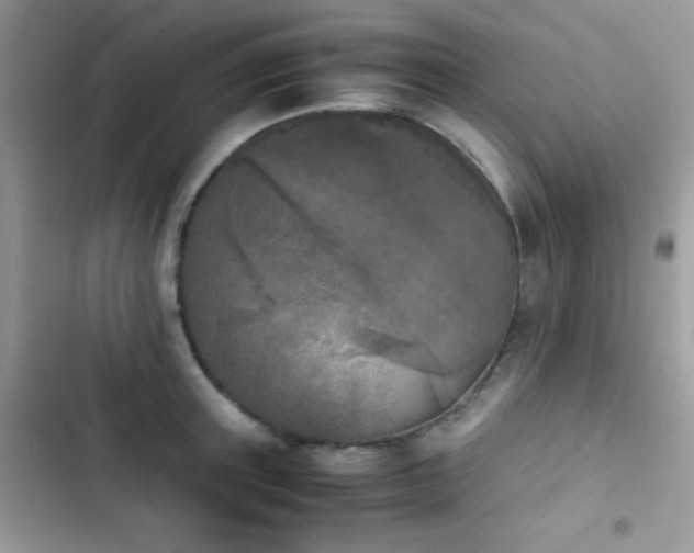 X0000103960851200809191510