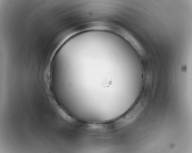 X0000103960852200809191510