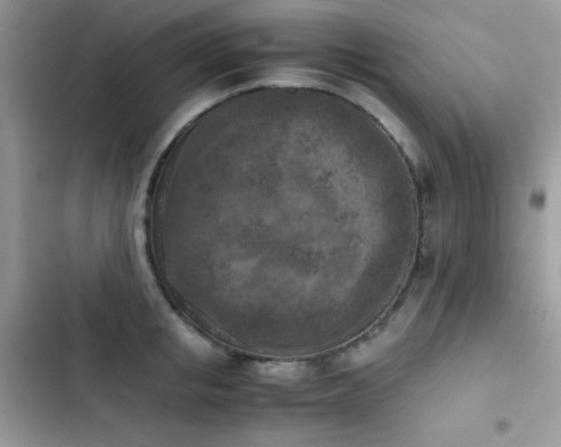 X0000103960853200809191510
