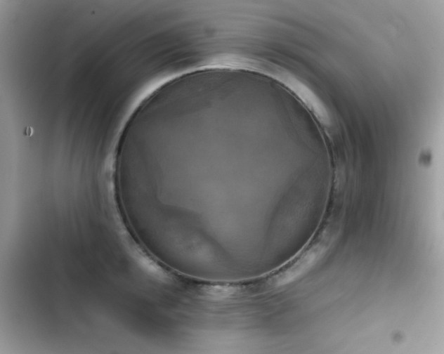 X0000103960854200809191510
