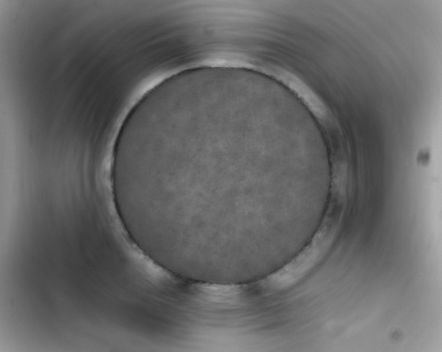 X0000103960856200809191510