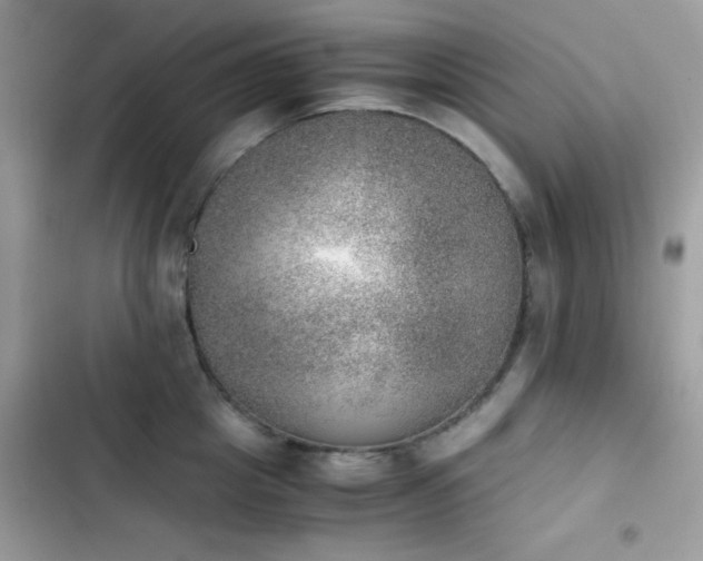 X0000103960857200809191510