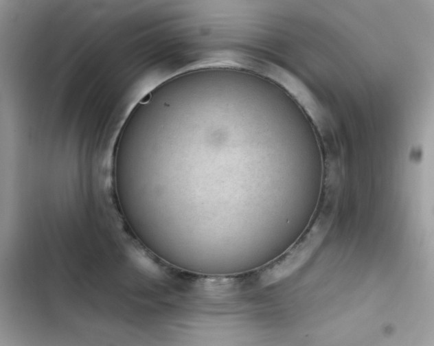X0000103960858200809191510