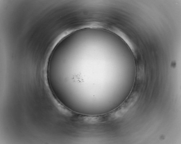 X0000103960861200809191510