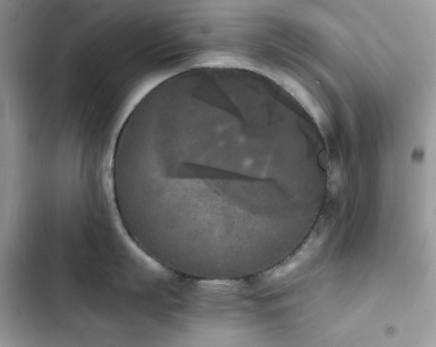 X0000103960863200809191510