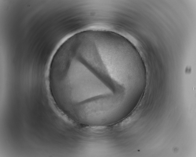 X0000103960864200809191510