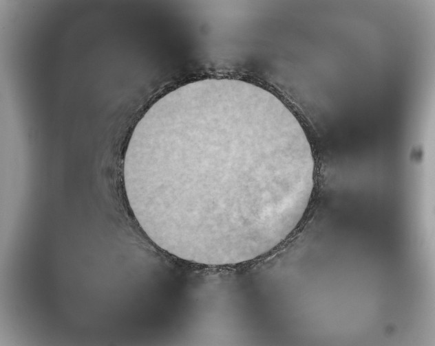 X0000103960865200809191509