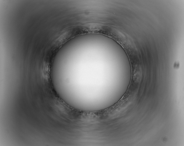 X0000103960866200809191509