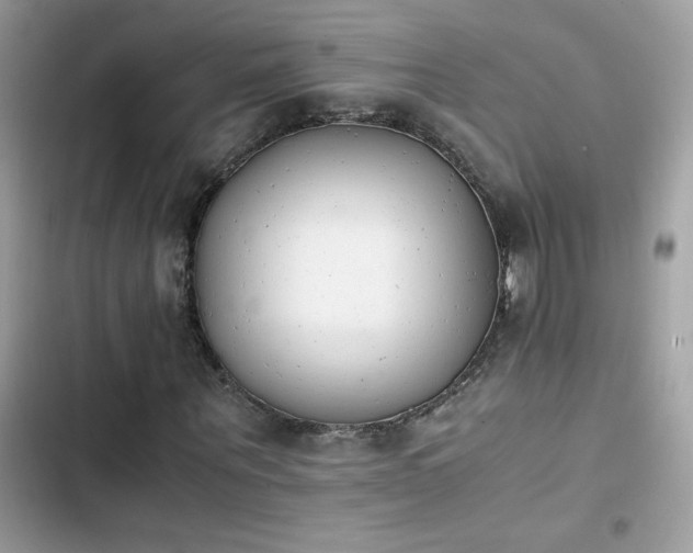X0000103960867200809191509