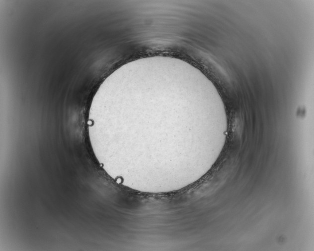 X0000103960868200809191509