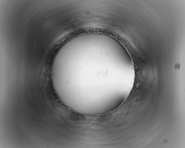 X0000103960870200809191509