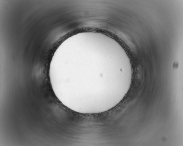 X0000103960872200809191509