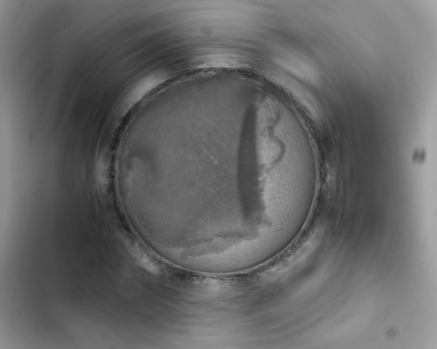 X0000103960874200809191509