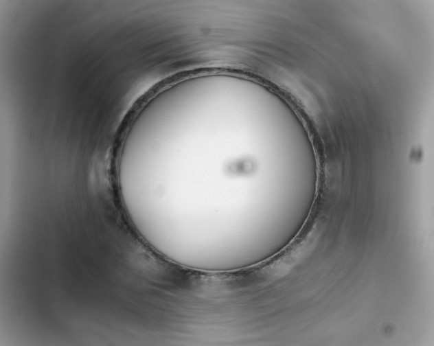 X0000103960875200809191509