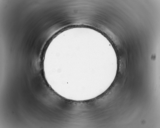 X0000103960876200809191509
