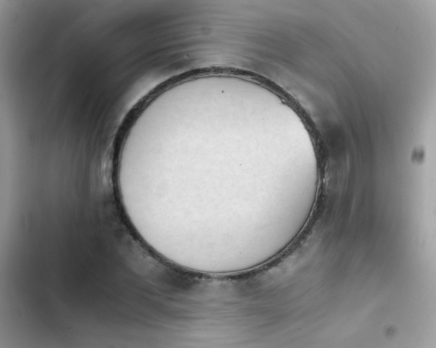 X0000103960877200809191509