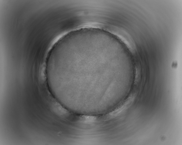 X0000103960878200809191509