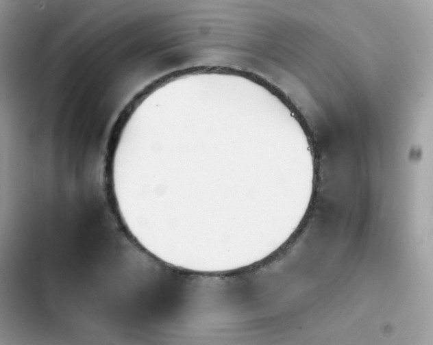 X0000103960880200809191509